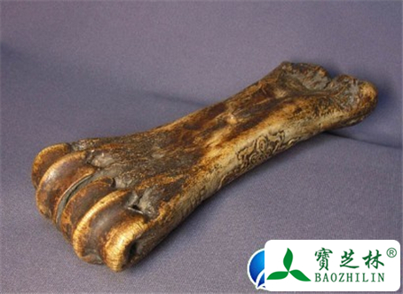 虎骨的功效与作用及食用方法图片