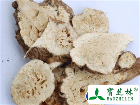 苍术的功效与作用及食用方法图片