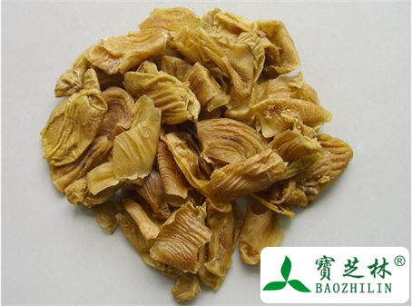 鸡内金的功效与作用及食用方法图片