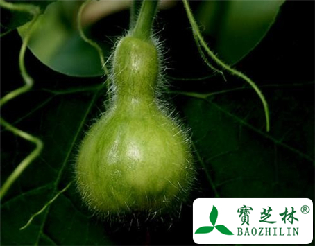 实葫芦的功效与作用及食用方法图片