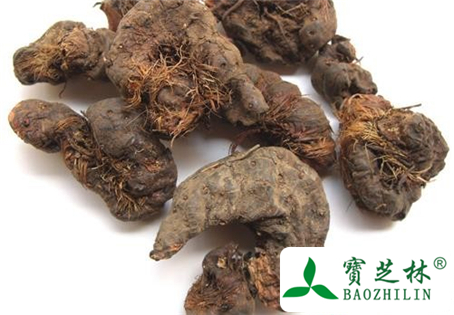 草血竭的功效与作用及食用方法图片