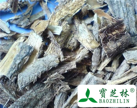 红毛五加皮的功效与作用及食用方法图片
