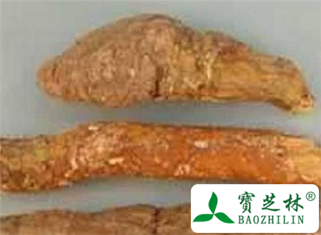 茯神的功效与作用及食用方法图片