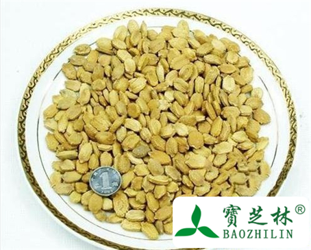 苦瓜子的功效与作用及食用方法图片