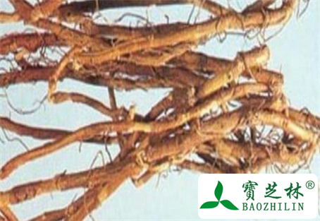 扁豆根的功效与作用及食用方法图片