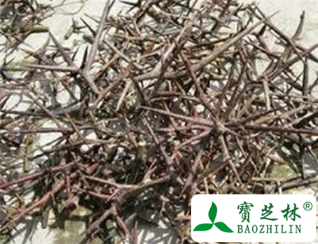 钩藤根的功效与作用及食用方法图片