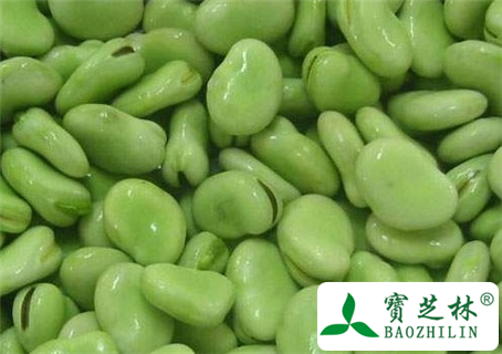 蚕豆的功效与作用及食用方法图片
