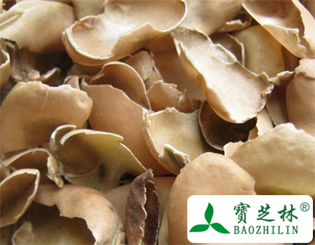 蚕豆壳的功效与作用及食用方法图片