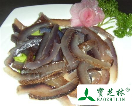 海参的功效与作用及食用方法图片