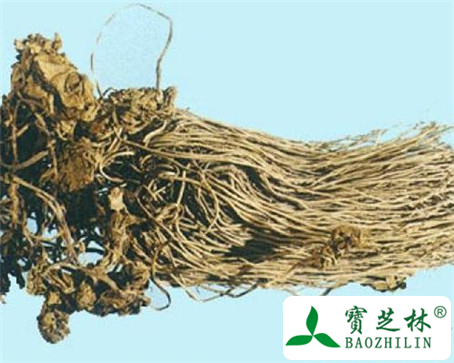 黄细辛的功效与作用及食用方法图片