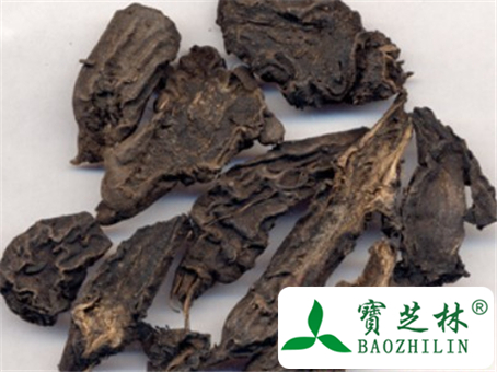 峨山草乌的功效与作用及食用方法图片