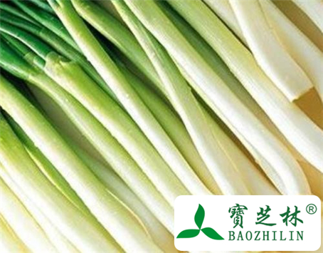 葱白的功效与作用及食用方法图片