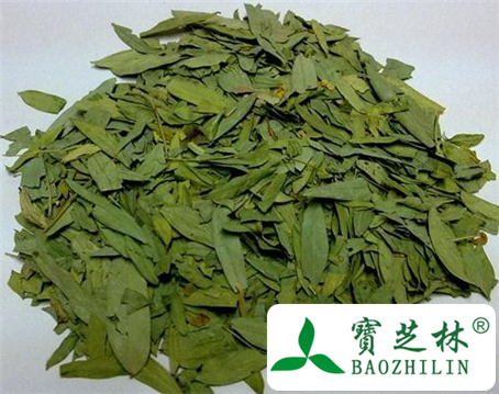 番泻叶的功效与作用及食用方法图片