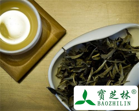 普洱茶的功效与作用及食用方法图片