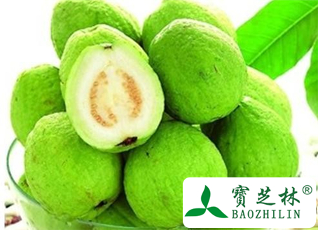 番石榴皮的功效与作用及食用方法图片