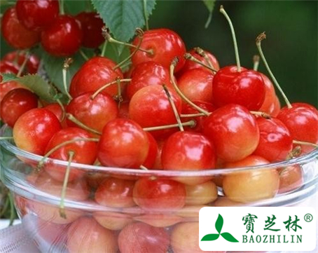 樱桃水的功效与作用及食用方法图片