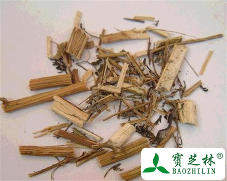 青蒿根的功效与作用及食用方法图片