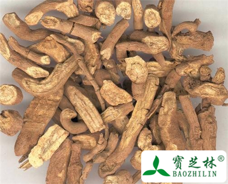 黑皮青木香的功效与作用及食用方法图片