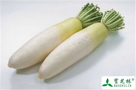 白萝卜的功效与作用及禁忌