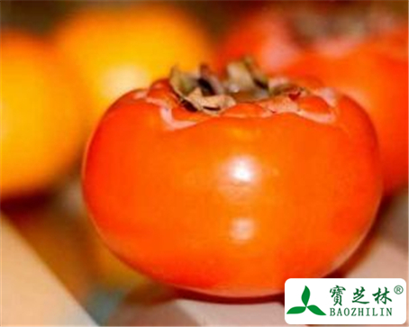 柿子的功效与作用及禁忌