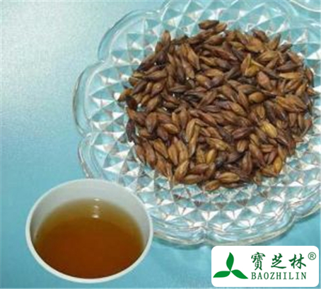 大麦茶的功效与作用及禁忌