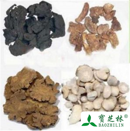 四物汤的功效与作用及禁忌