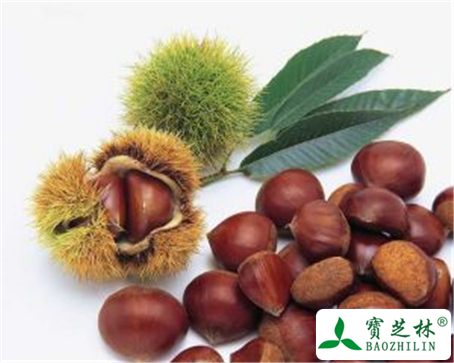 板栗的功效与作用及禁忌