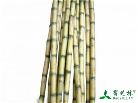 甘蔗的功效与作用及禁忌