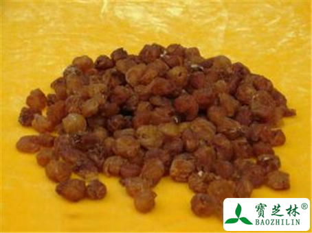 龙眼肉的功效与作用及禁忌