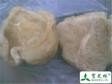 紫河车的功效与作用及禁忌