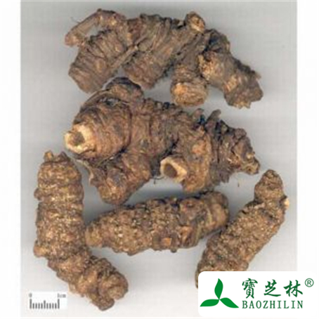 羌活的功效与作用及禁忌