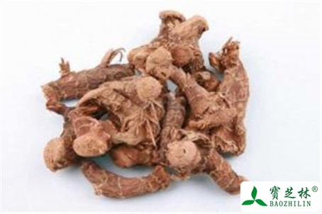 高良姜的功效与作用及禁忌