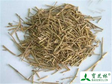 麻黄的功效与作用及禁忌