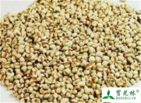 薏苡仁的功效与作用及禁忌