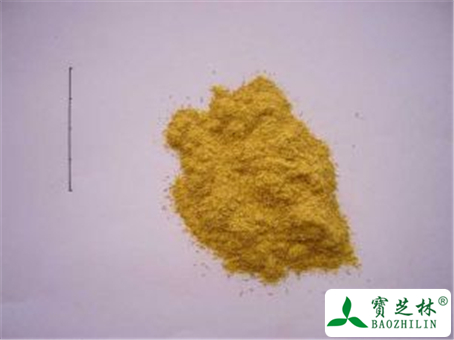 蒲黄的功效与作用及禁忌