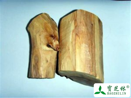 檀香的功效与作用及禁忌
