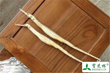 海龙的功效与作用及禁忌
