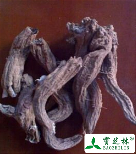 玄参的功效与作用及禁忌