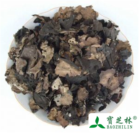 石耳的功效与作用及禁忌