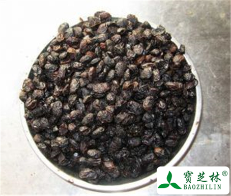 豆豉的功效与作用及禁忌
