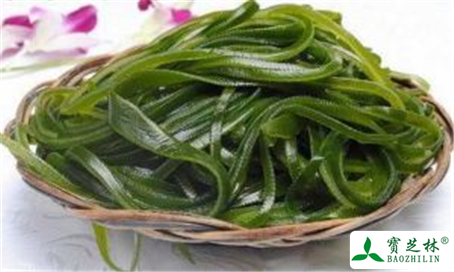 海藻的功效与作用及禁忌