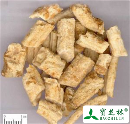 北沙参的功效与作用及禁忌