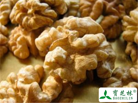 核桃仁的功效与作用及禁忌