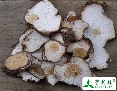 茯神的功效与作用及禁忌