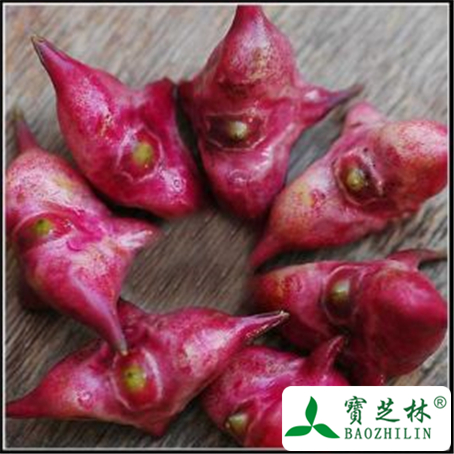 菱角的功效与作用及禁忌