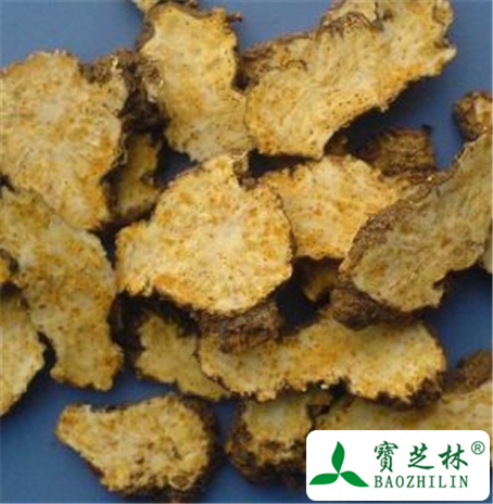 苍术的功效与作用及禁忌