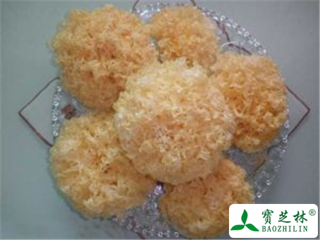 银耳的功效与作用及禁忌