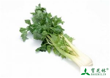 芹菜的功效与作用及禁忌