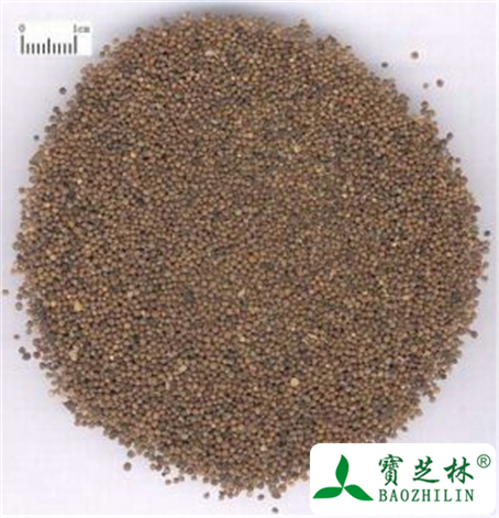 苏子的功效与作用及禁忌