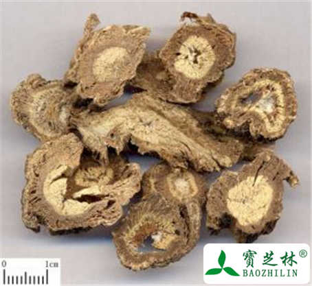 独活的功效与作用及禁忌